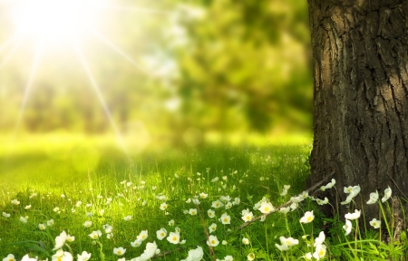 婚纱摄影作品 - 浪漫海边婚纱照