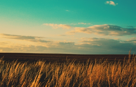 纪实摄影作品 - 生活瞬间记录